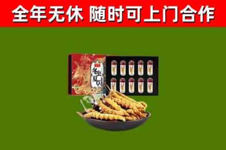 虞城烟酒回收冬虫夏草礼盒.jpg