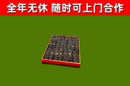 虞城回收海参